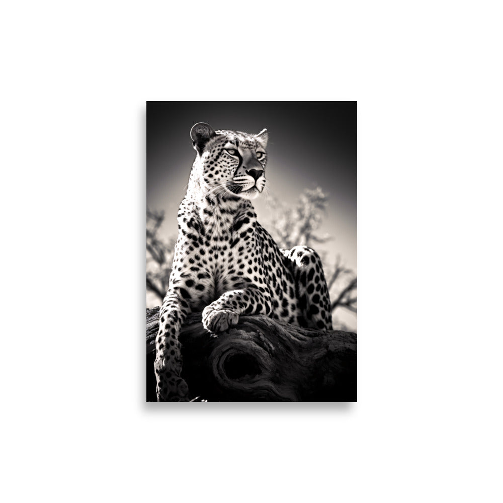 Leopard No1 - AFFICHES & MOI