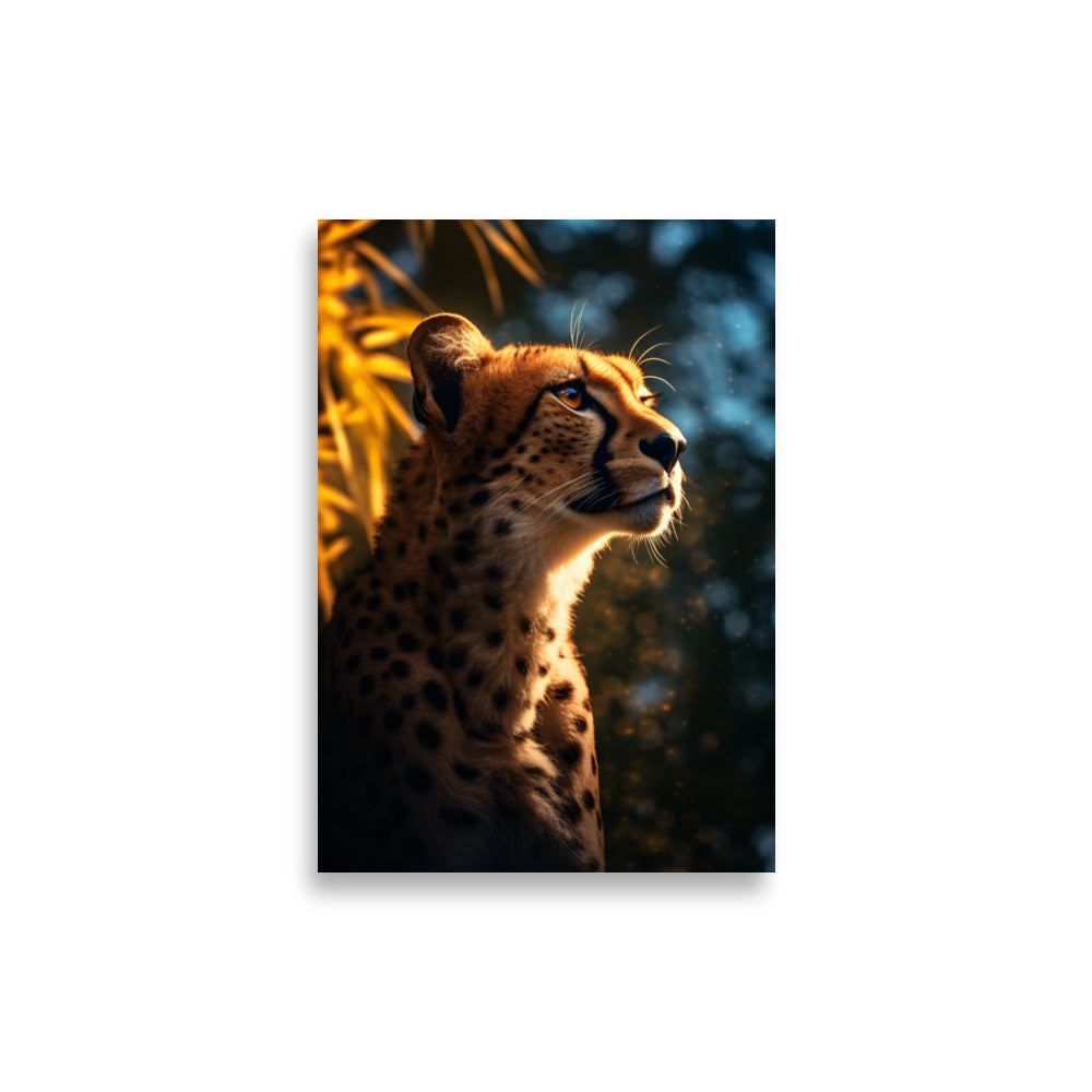 Guépard - AFFICHES & MOI