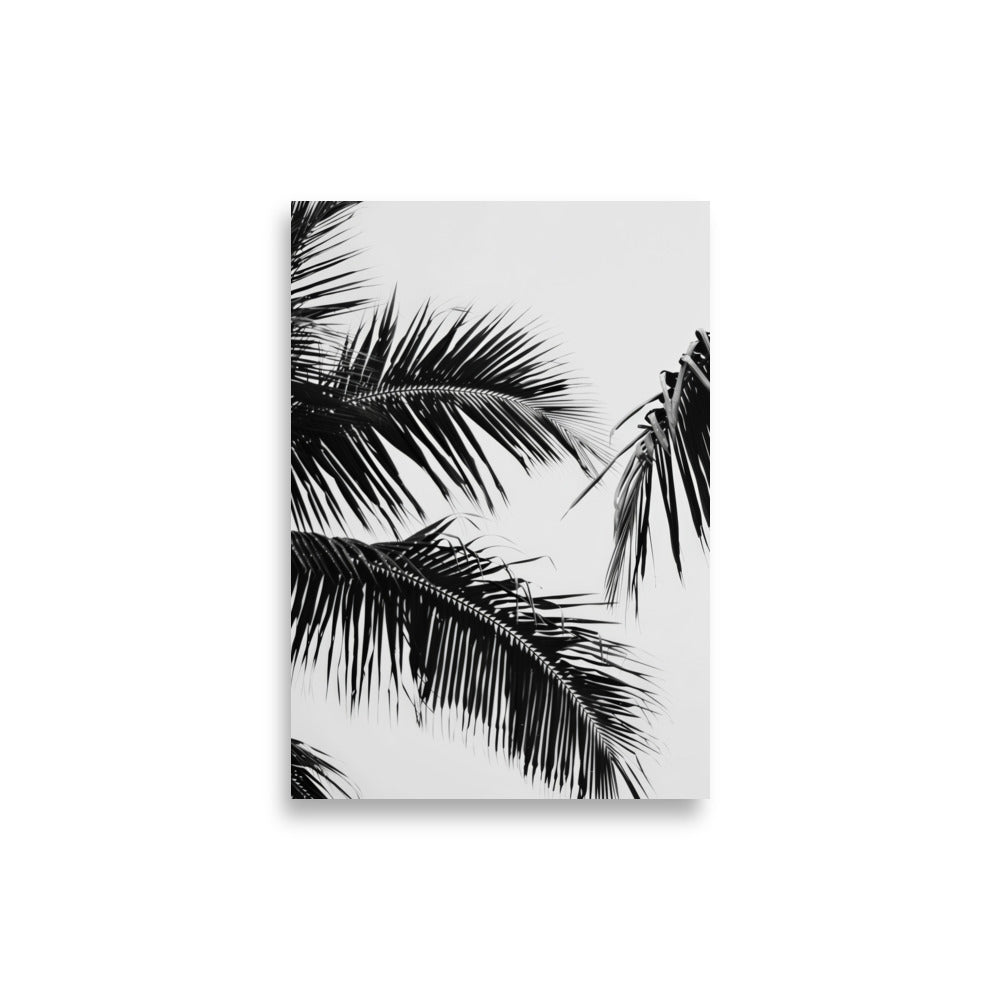 Black Palm Leaf - AFFICHES & MOI