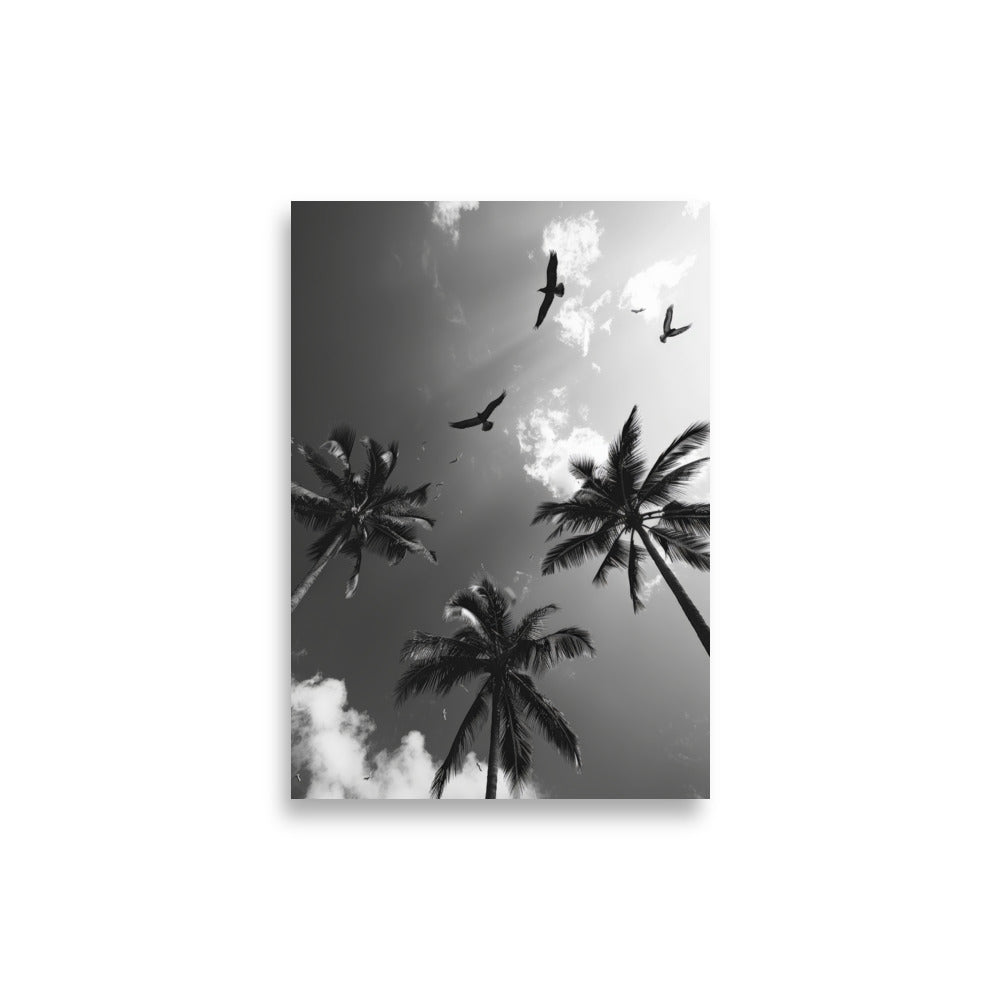 Palm Trees - AFFICHES & MOI