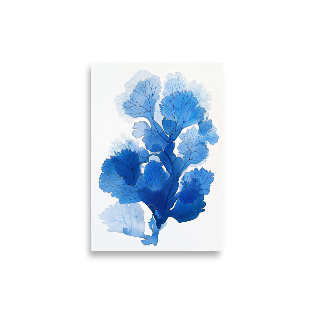 Blue Coral No2 - AFFICHES & MOI