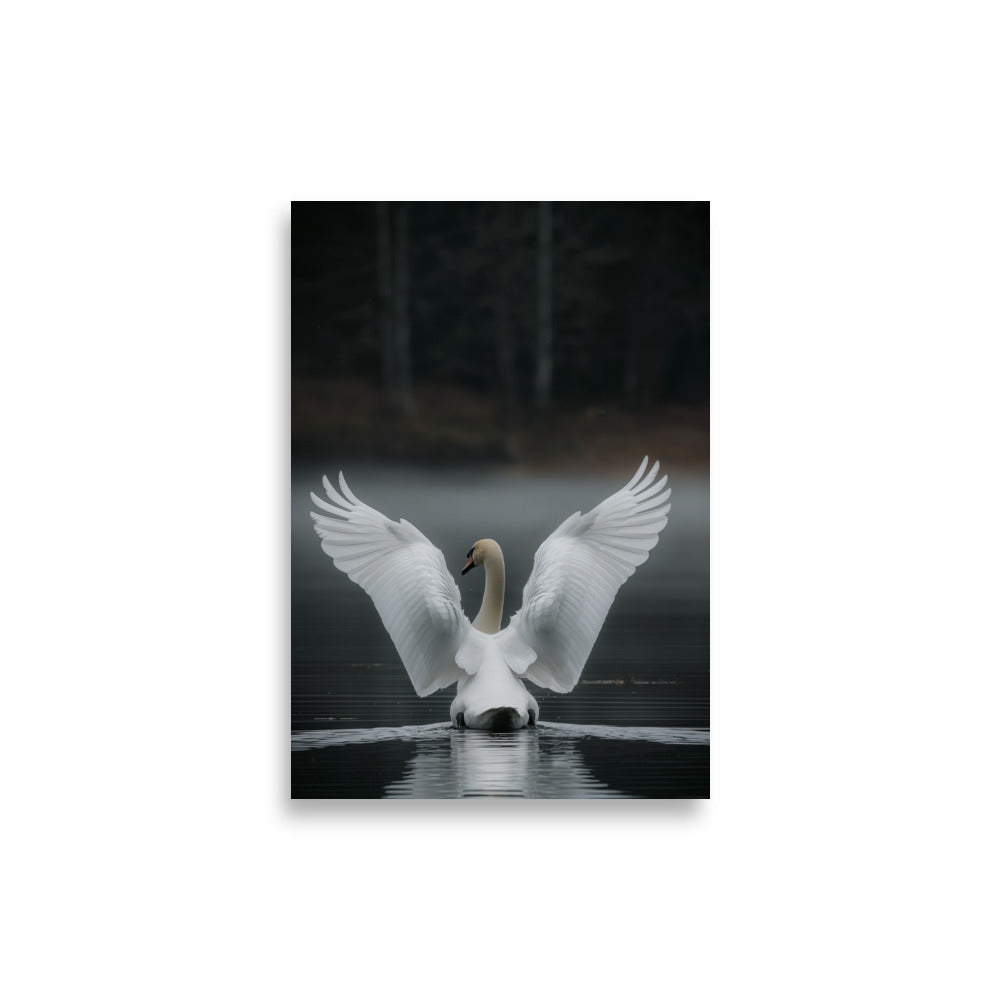 White Swan - AFFICHES & MOI