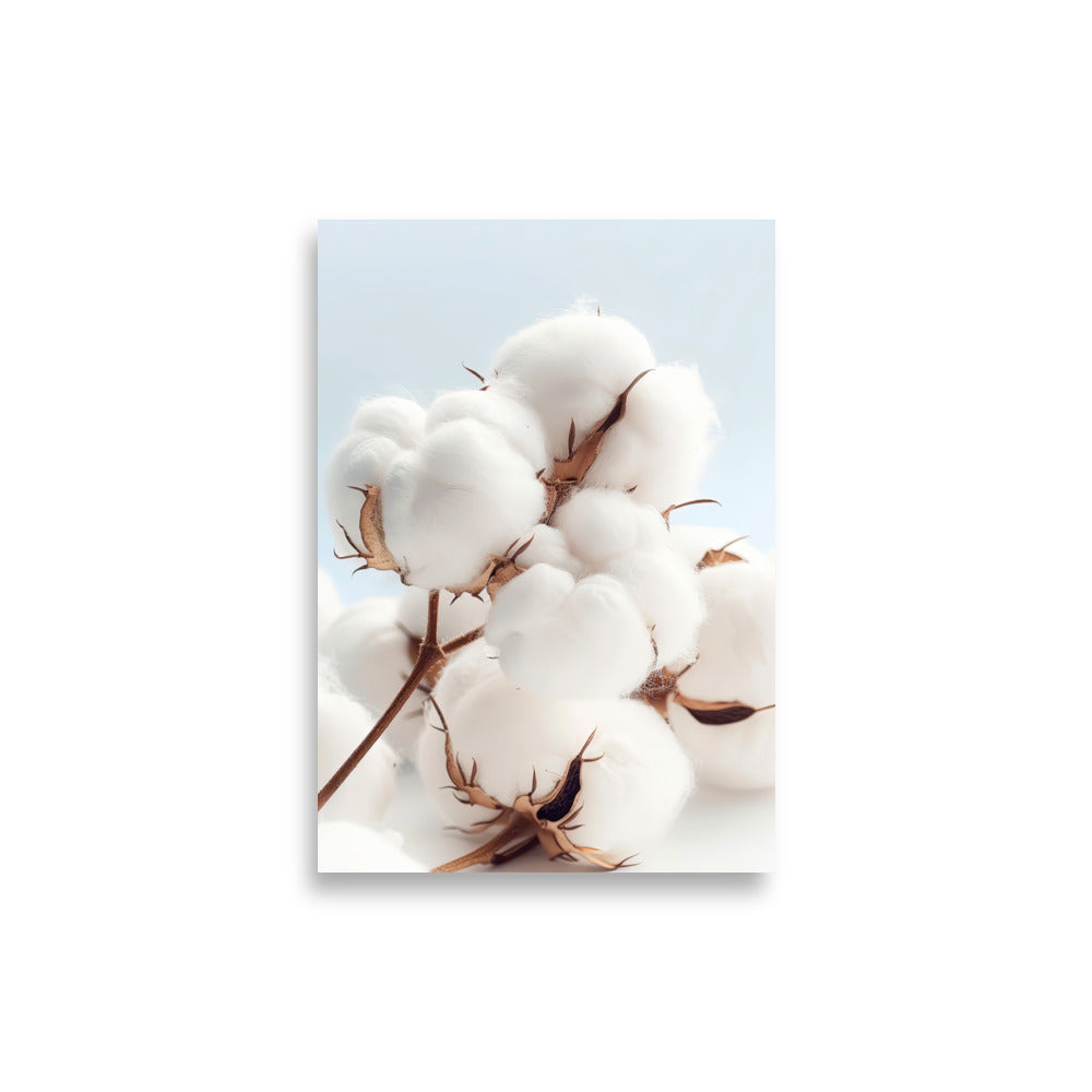 Cotton flowers - AFFICHES & MOI