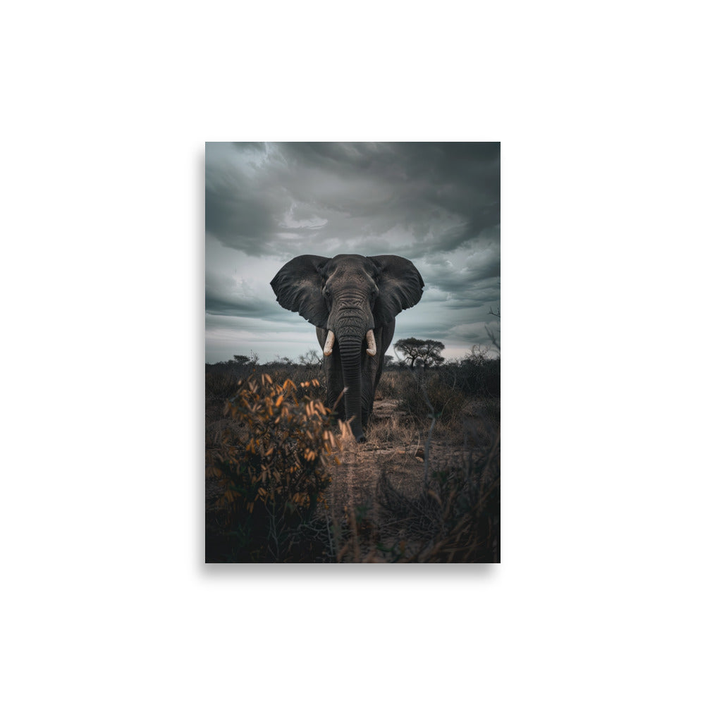 Guardian of Savannah - AFFICHES & MOI