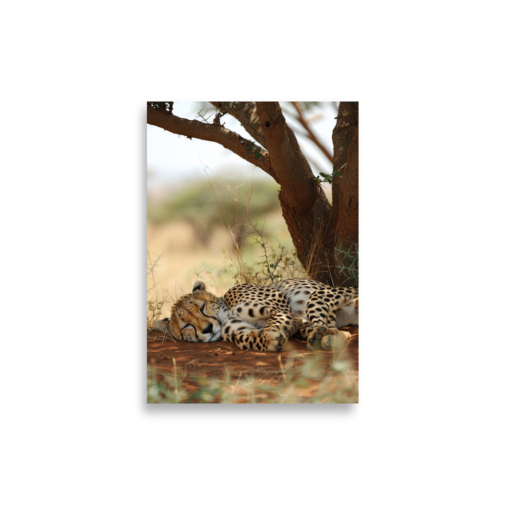 Sleeping Guepard - AFFICHES & MOI