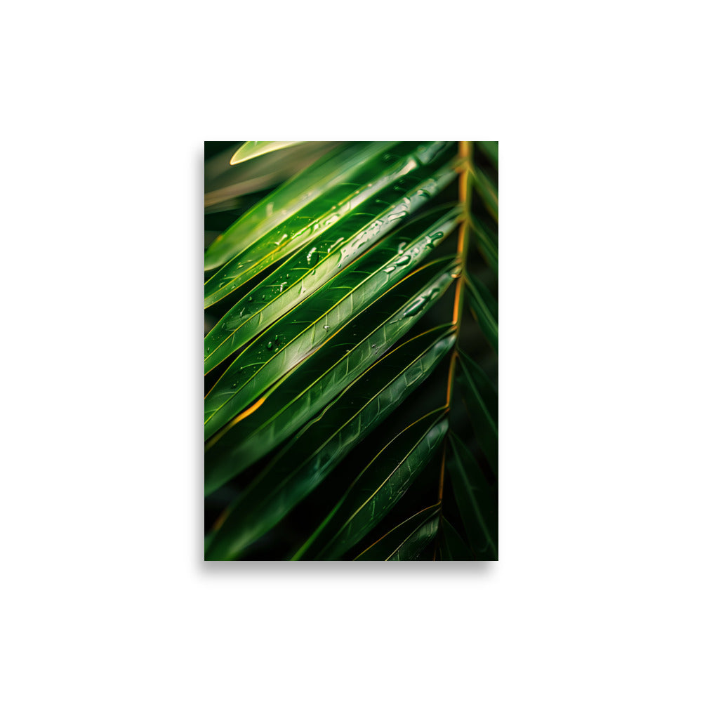Palm Focus - AFFICHES & MOI