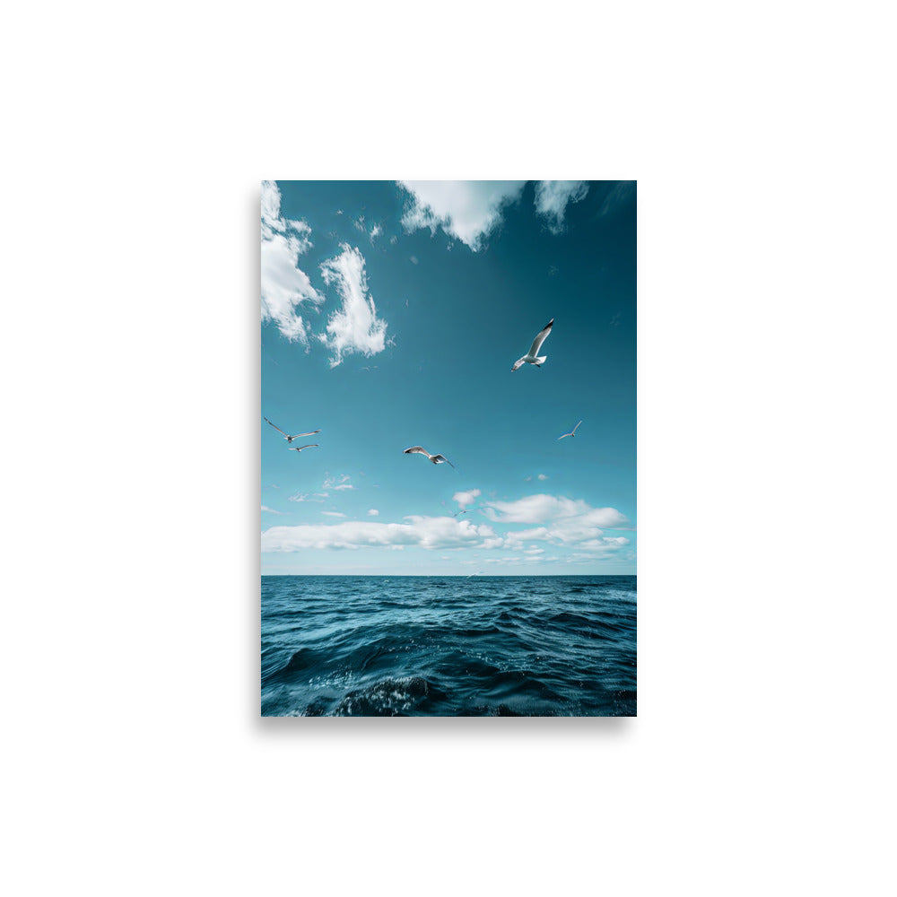 Seagulls - AFFICHES & MOI