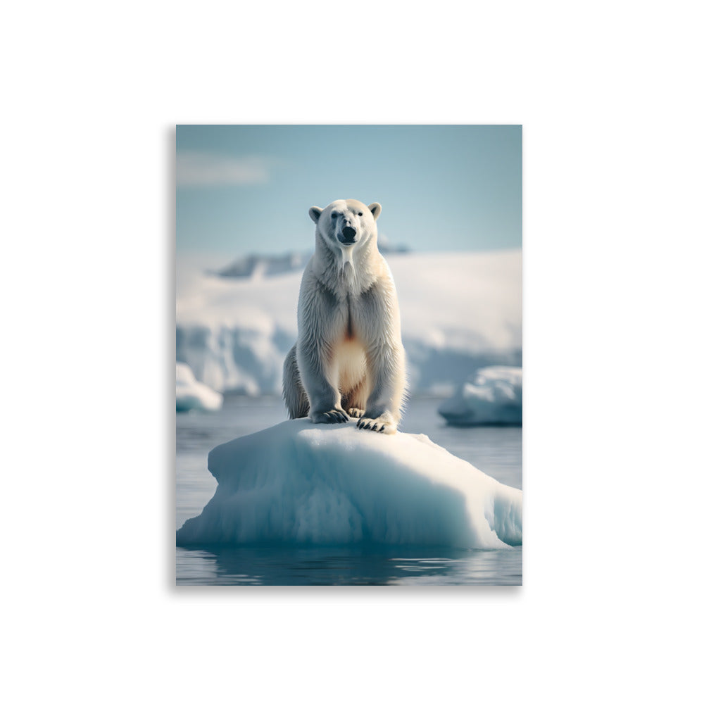 Ours polaire - AFFICHES & MOI