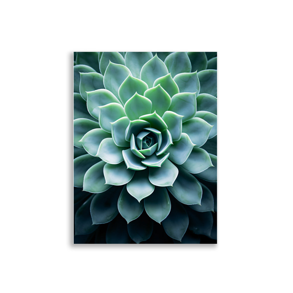Plant - AFFICHES & MOI
