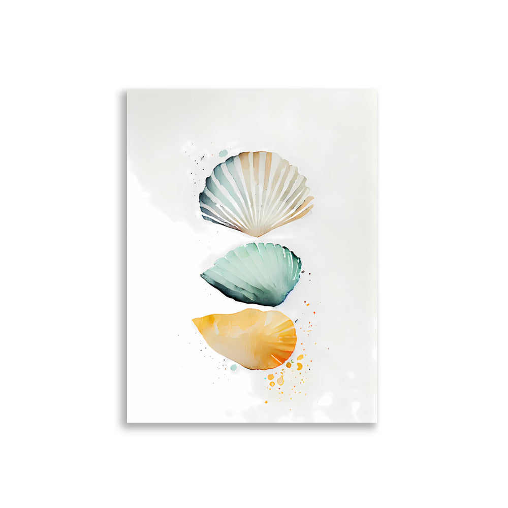 Shells No1 - AFFICHES & MOI
