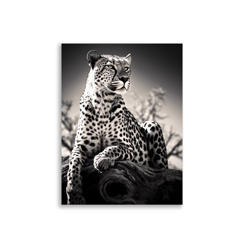 Leopard No1 - AFFICHES & MOI