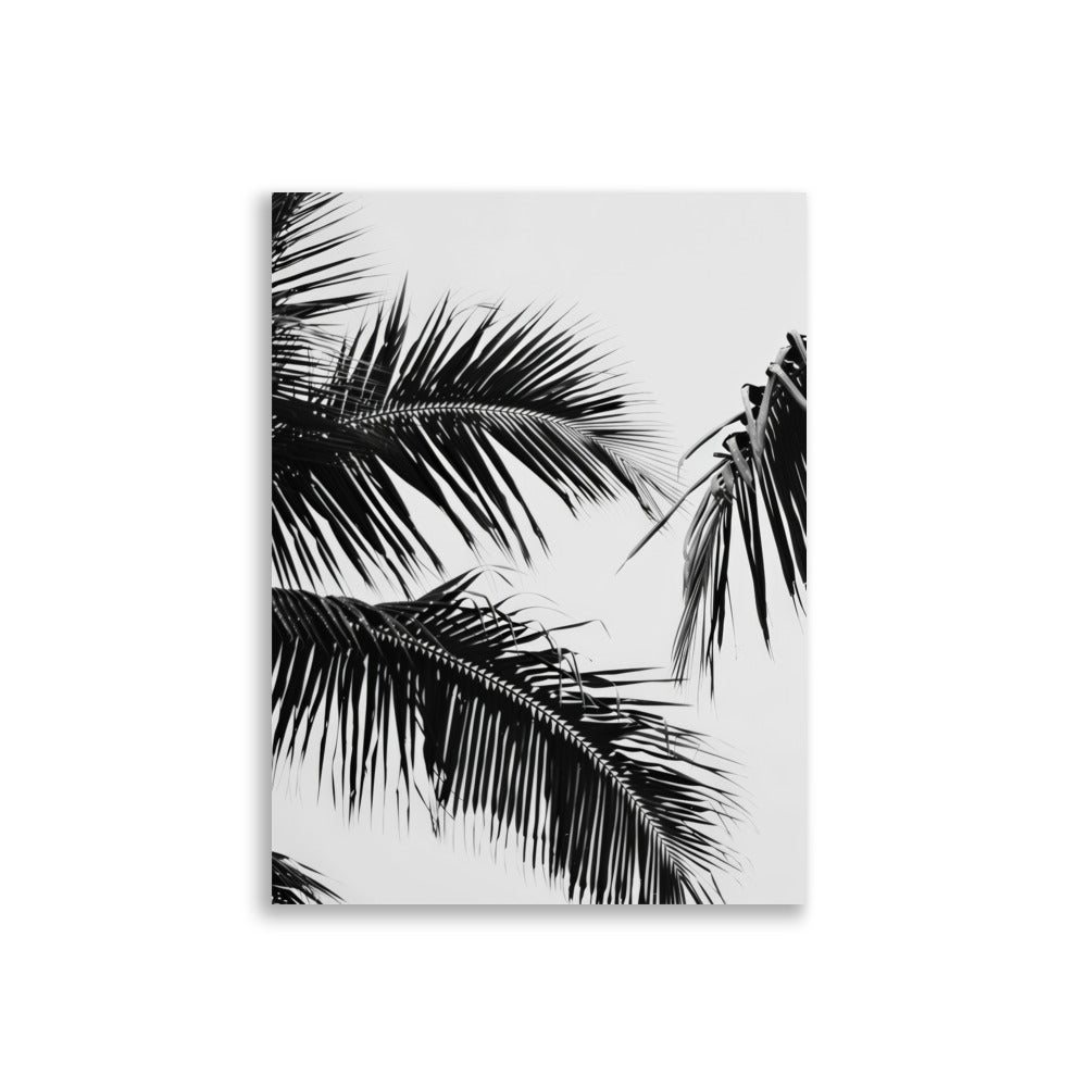 Black Palm Leaf - AFFICHES & MOI