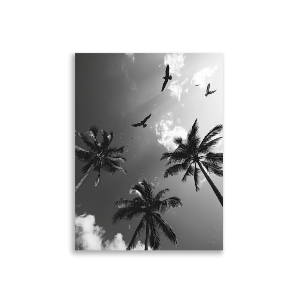 Palm Trees - AFFICHES & MOI