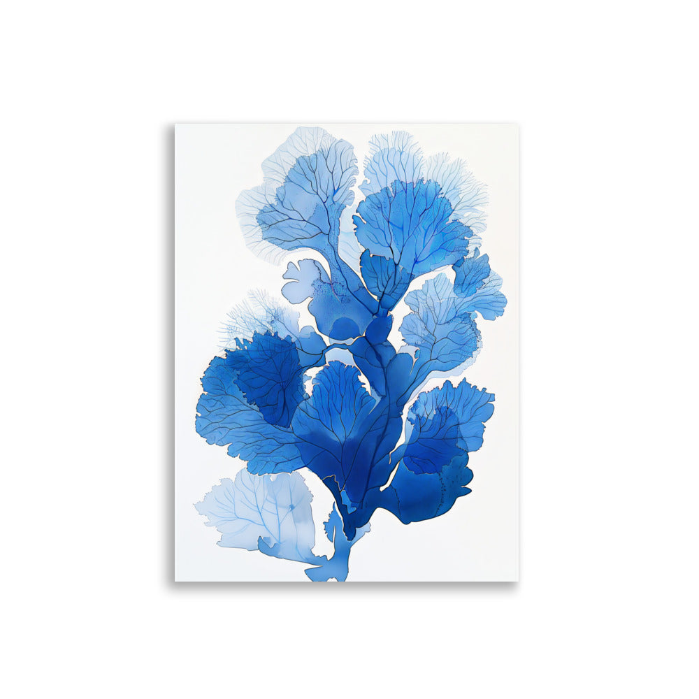 Blue Coral No2 - AFFICHES & MOI