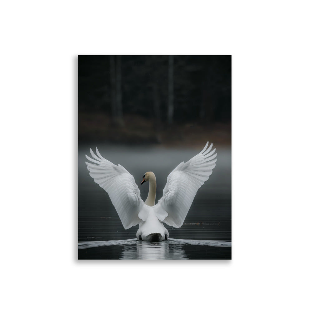 White Swan - AFFICHES & MOI