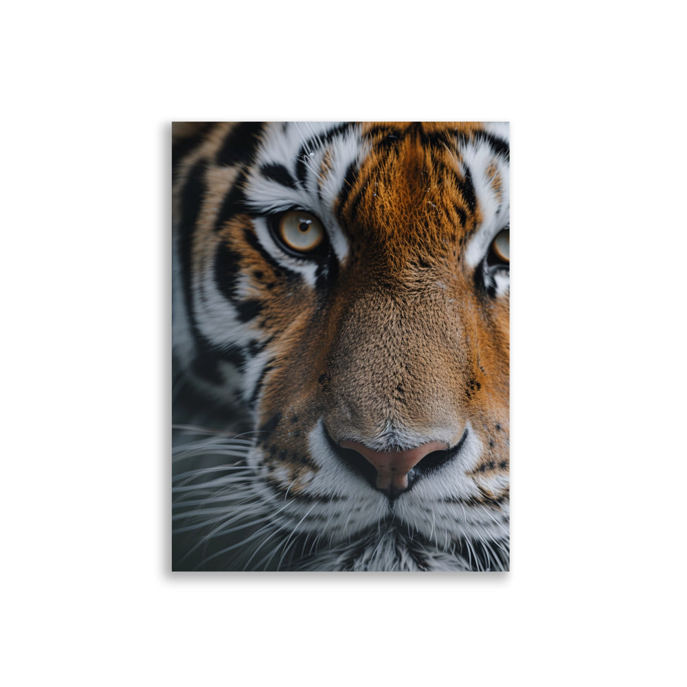 Eyes of Tiger - AFFICHES & MOI
