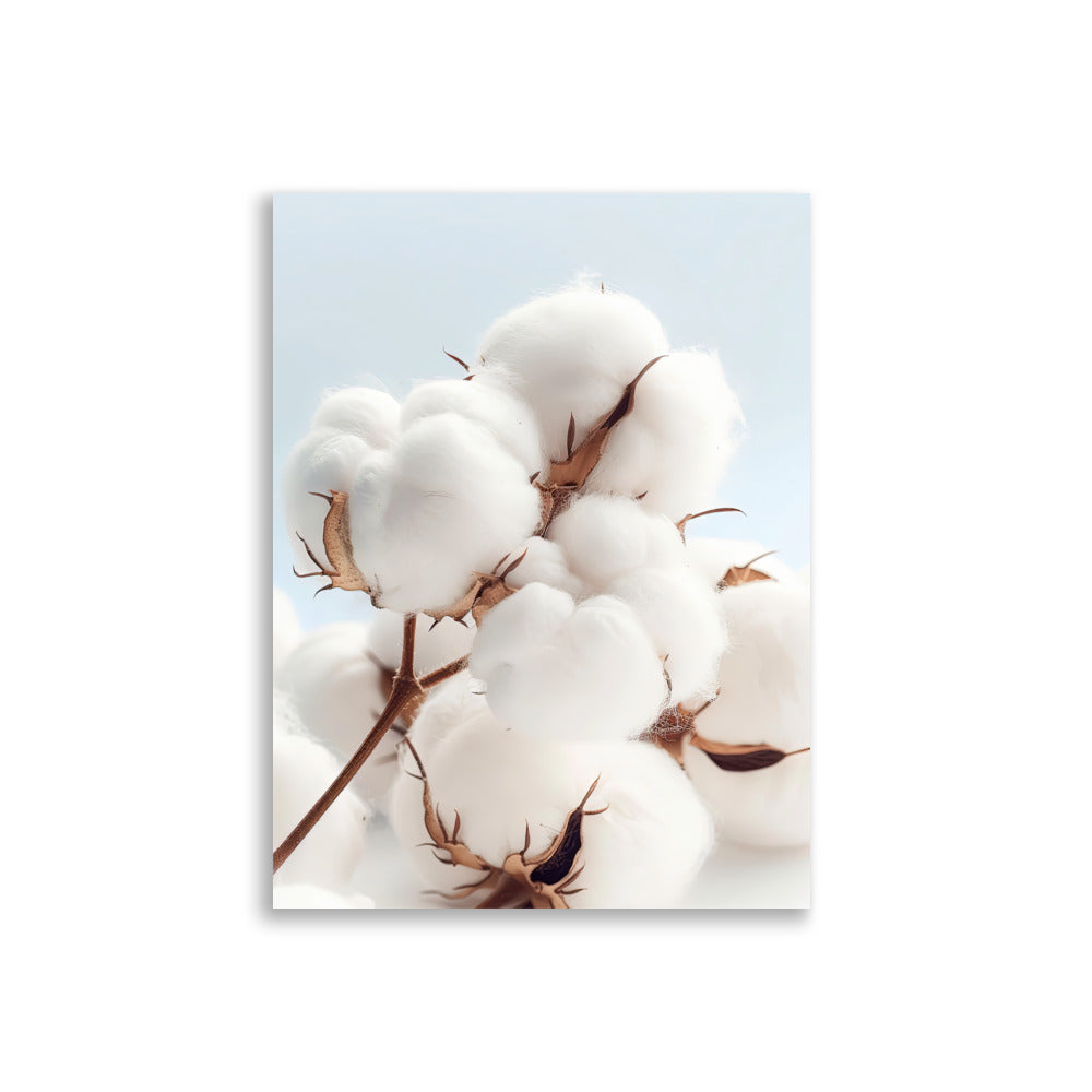 Cotton flowers - AFFICHES & MOI