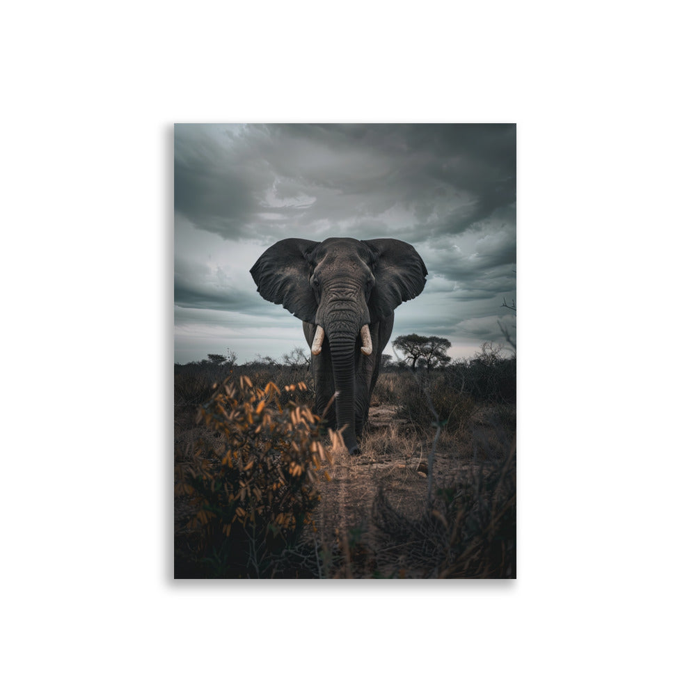 Guardian of Savannah - AFFICHES & MOI