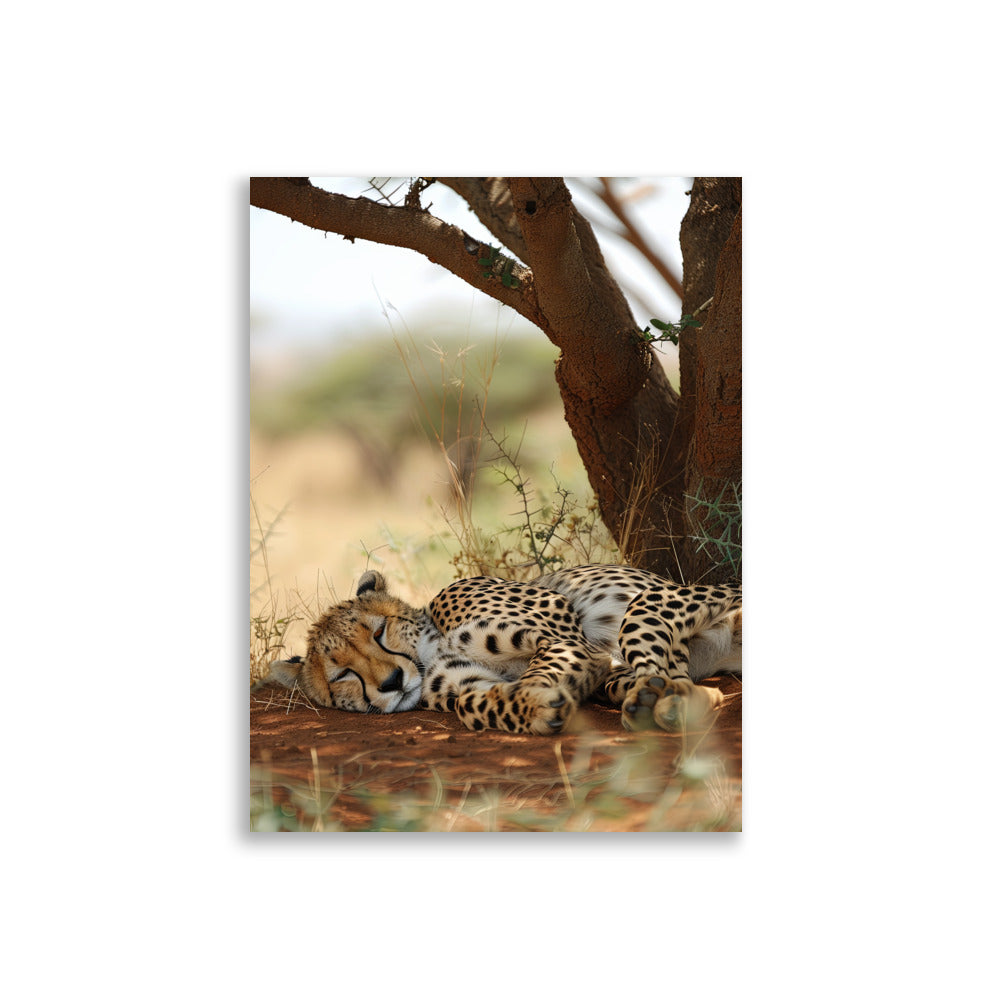 Sleeping Guepard - AFFICHES & MOI