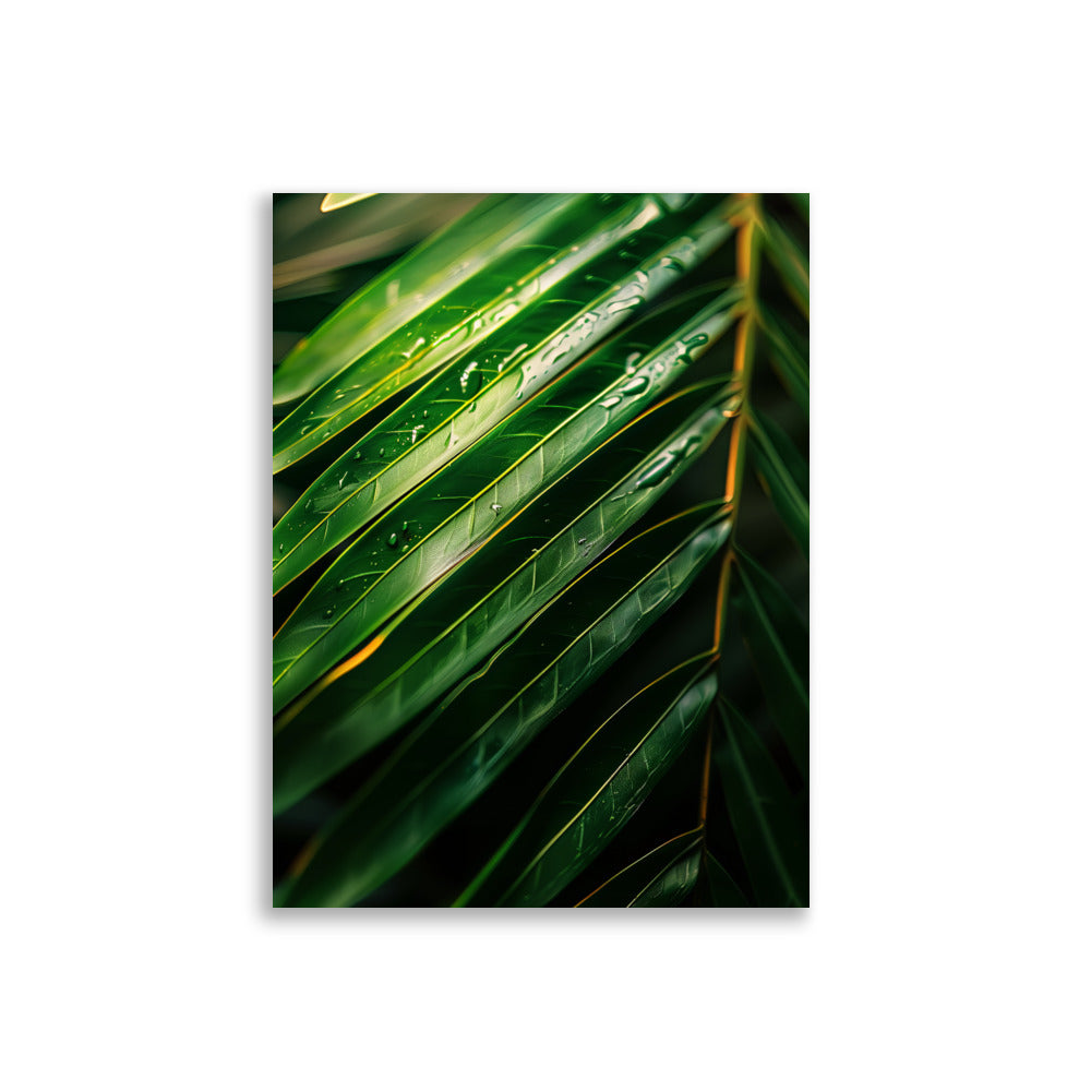 Palm Focus - AFFICHES & MOI