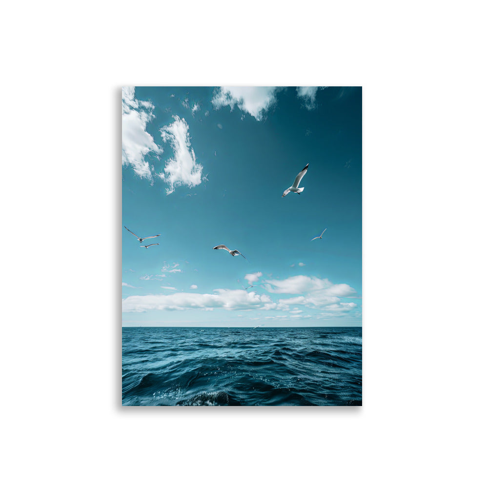 Seagulls - AFFICHES & MOI