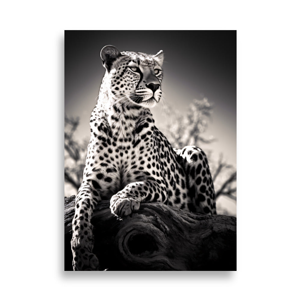 Leopard No1 - AFFICHES & MOI