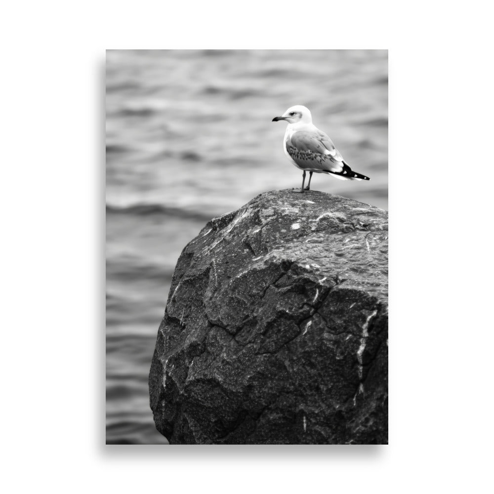 Seagull - AFFICHES & MOI