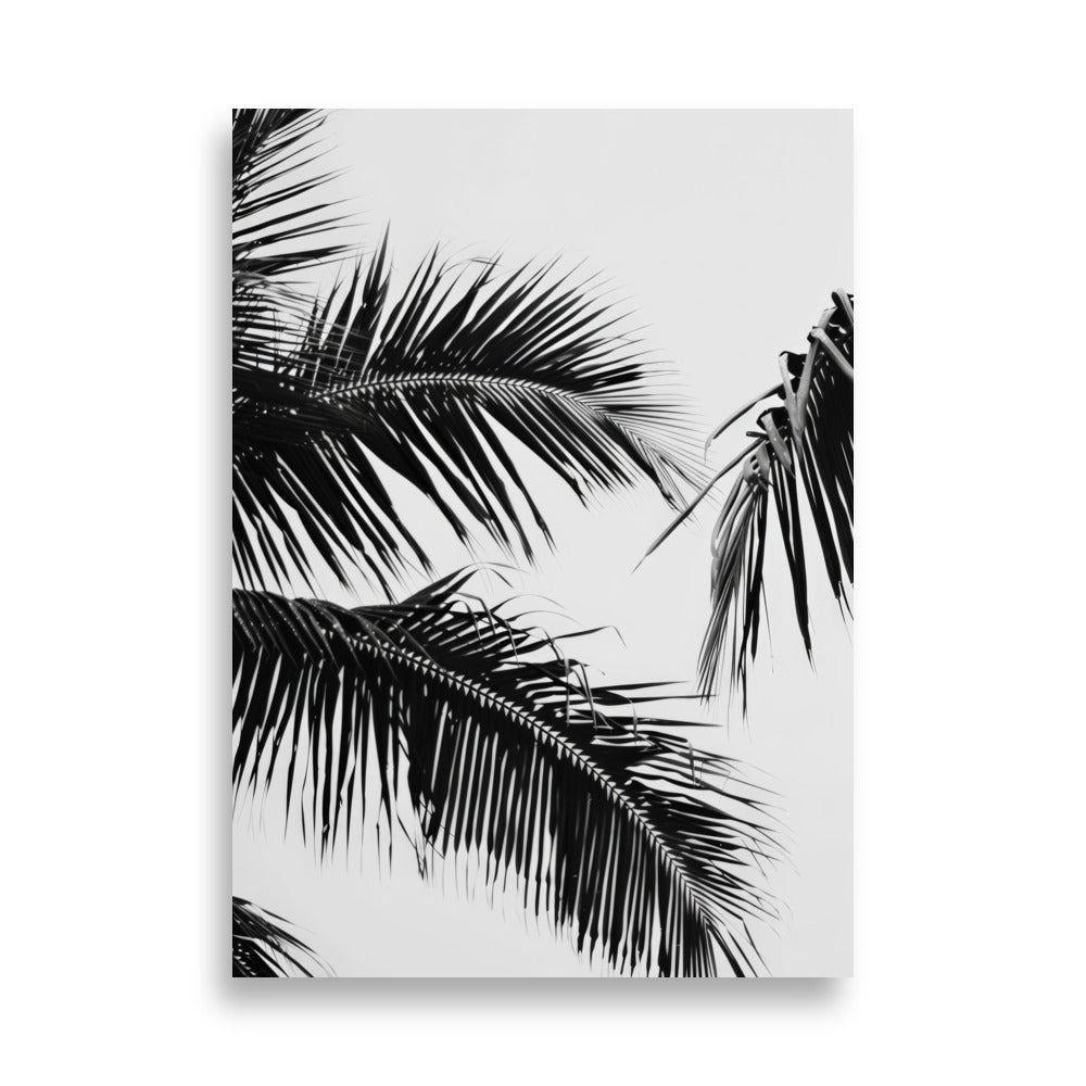 Black Palm Leaf - AFFICHES & MOI