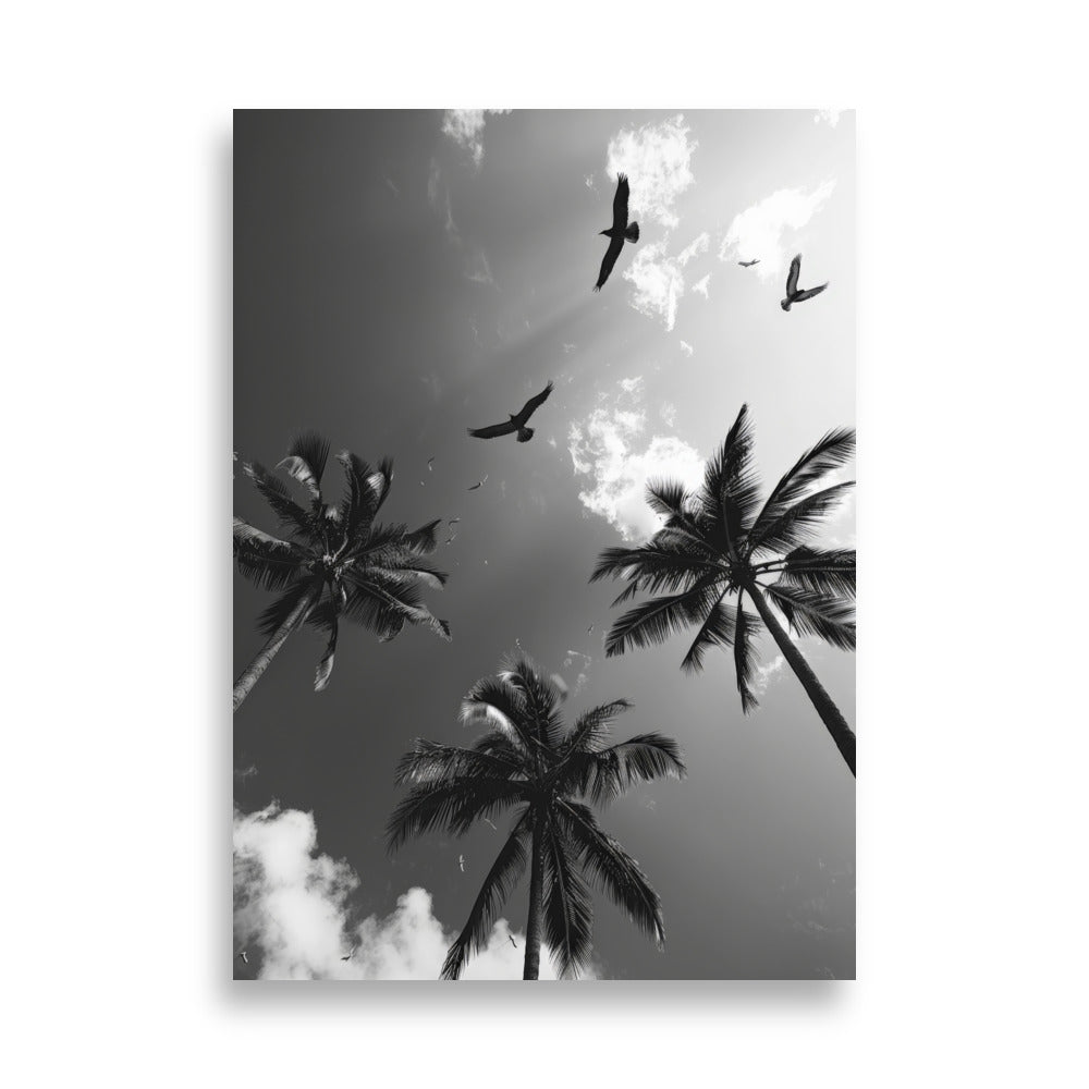 Palm Trees - AFFICHES & MOI