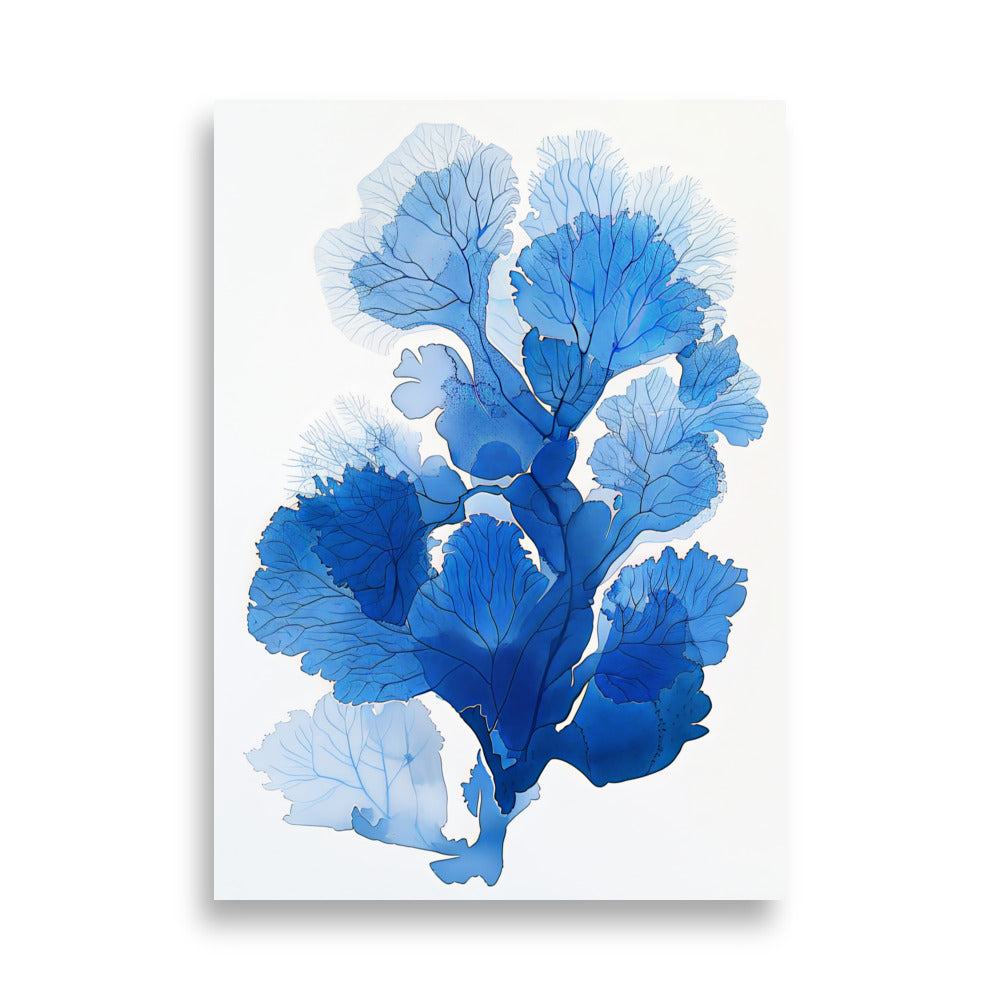 Blue Coral No2 - AFFICHES & MOI