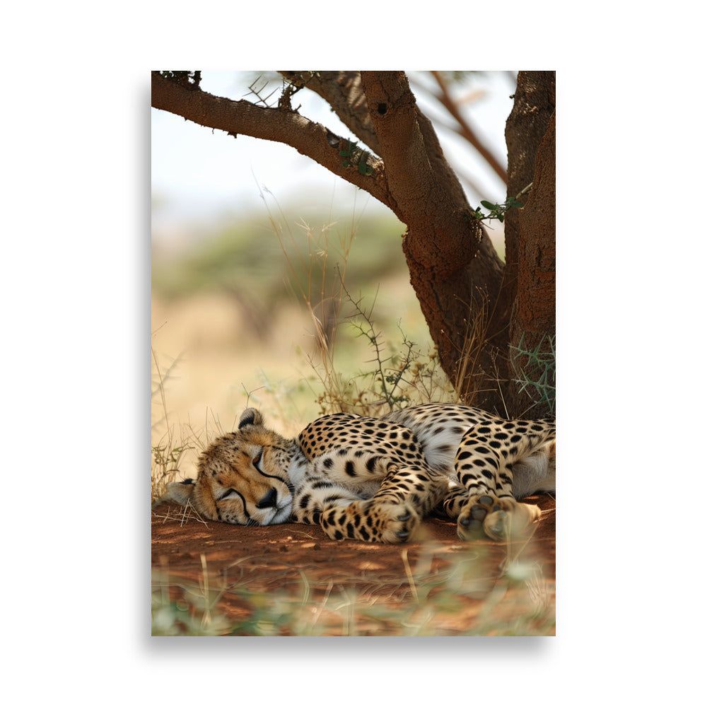 Sleeping Guepard - AFFICHES & MOI