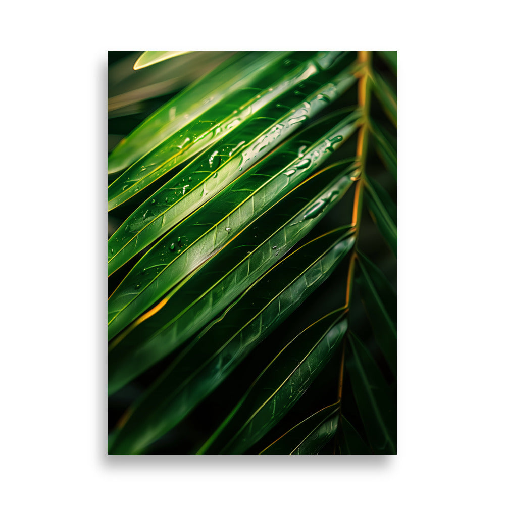 Palm Focus - AFFICHES & MOI