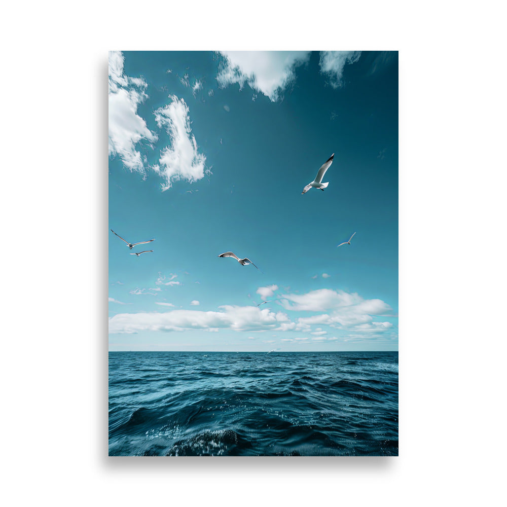 Seagulls - AFFICHES & MOI