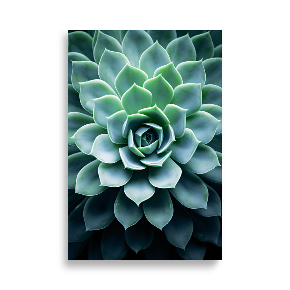 Plant - AFFICHES & MOI