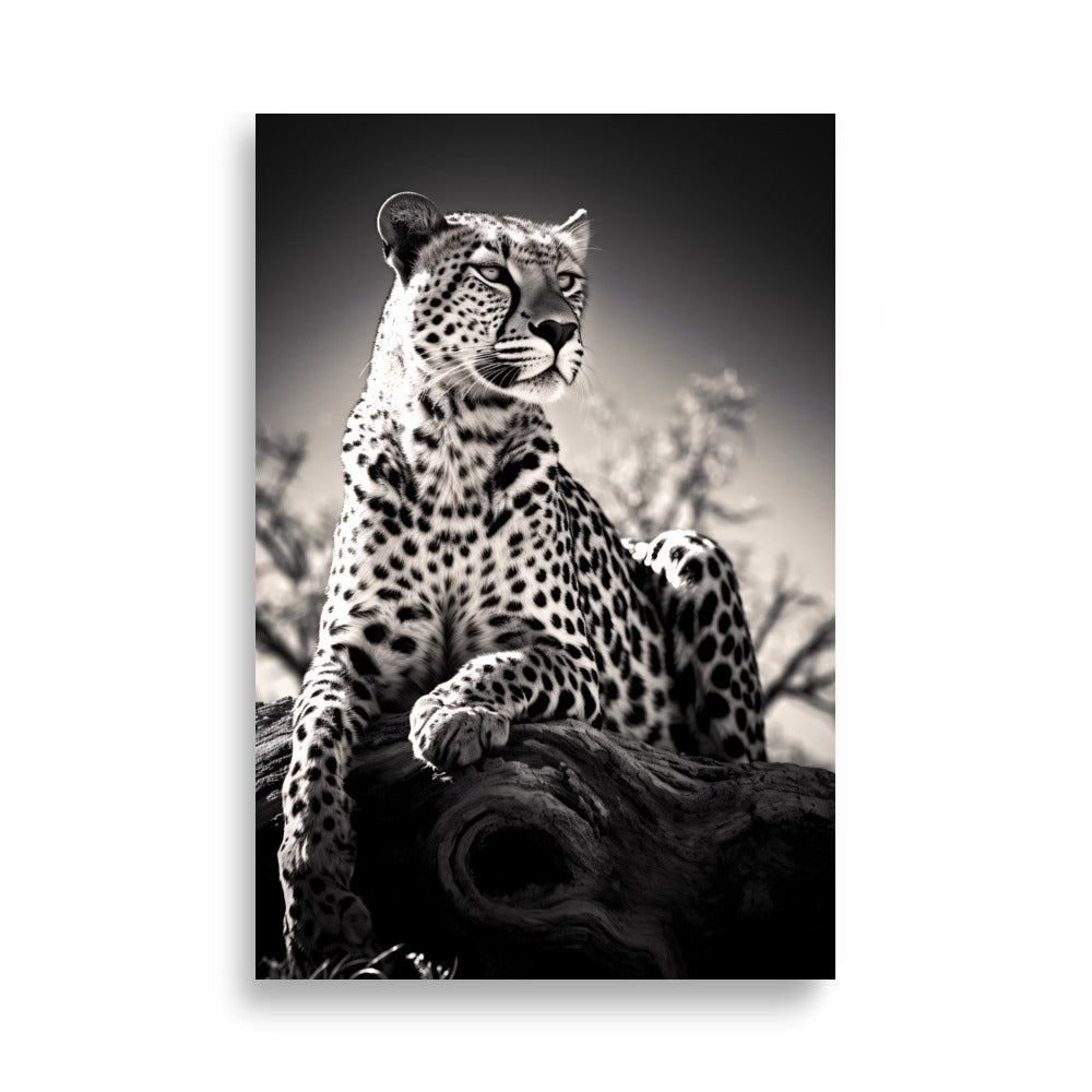 Leopard No1 - AFFICHES & MOI
