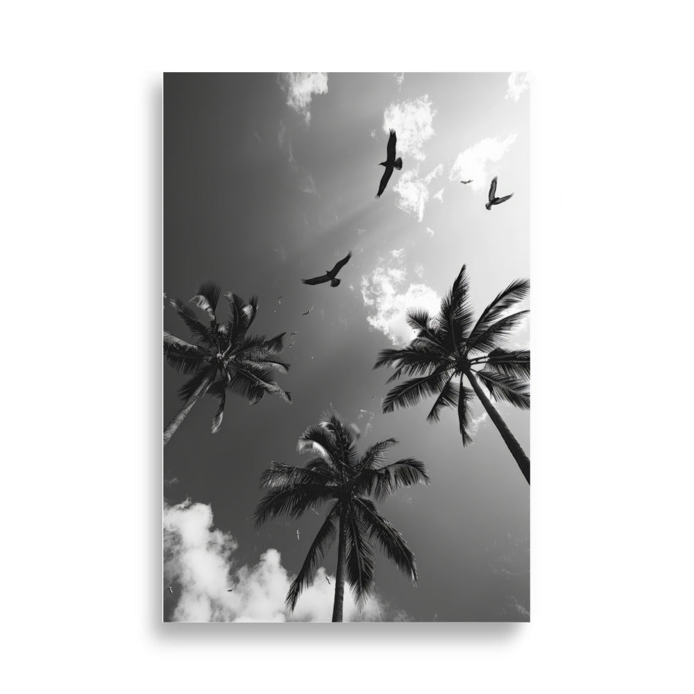 Palm Trees - AFFICHES & MOI