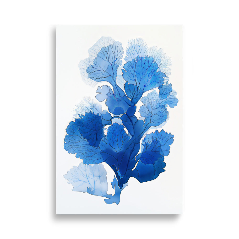 Blue Coral No2 - AFFICHES & MOI
