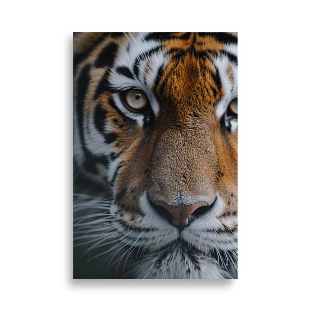 Eyes of Tiger - AFFICHES & MOI