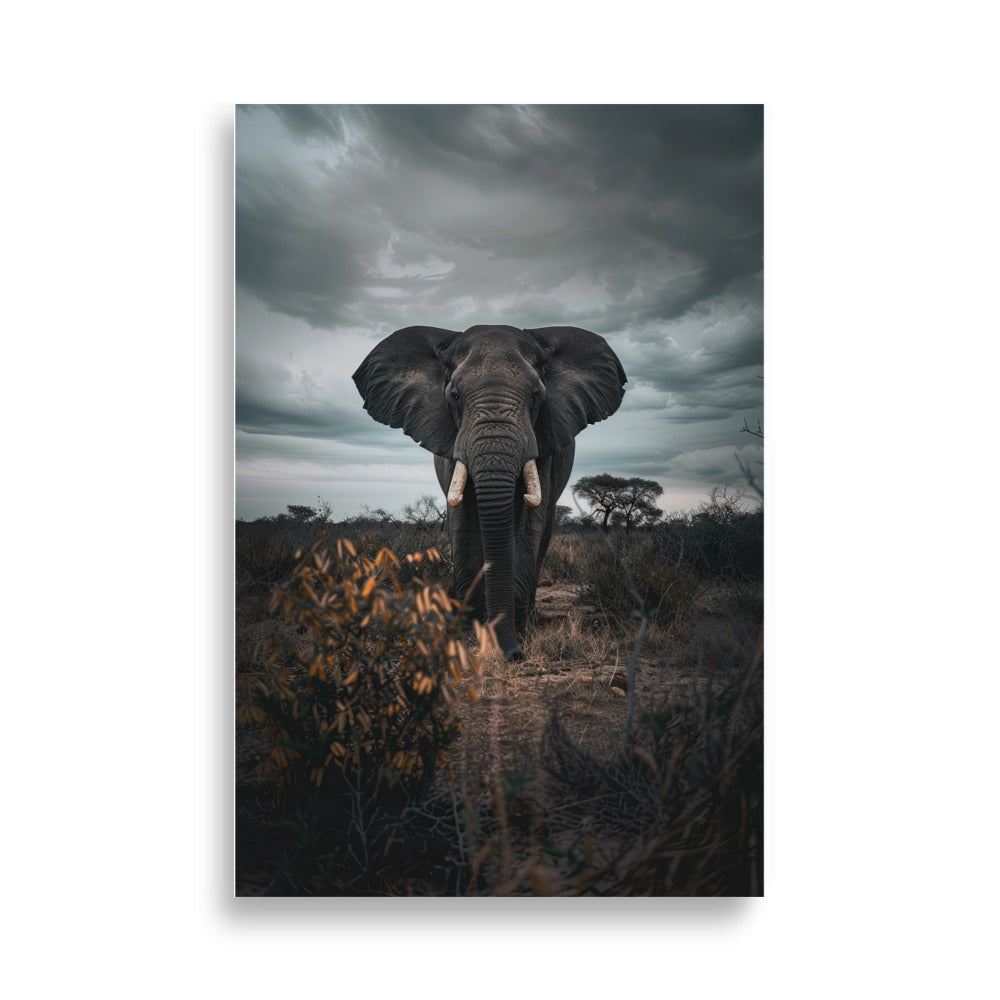 Guardian of Savannah - AFFICHES & MOI