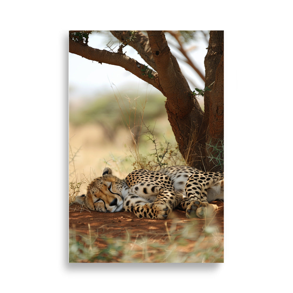Sleeping Guepard - AFFICHES & MOI