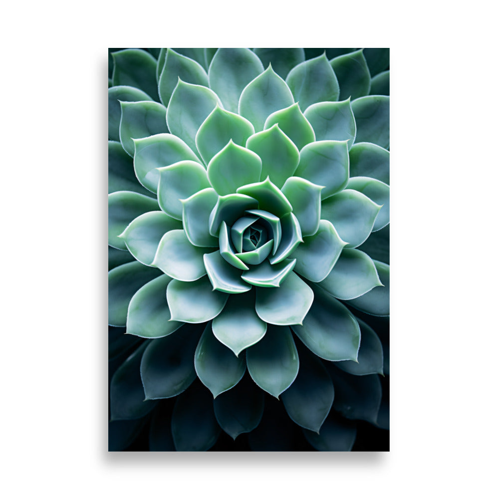 Plant - AFFICHES & MOI