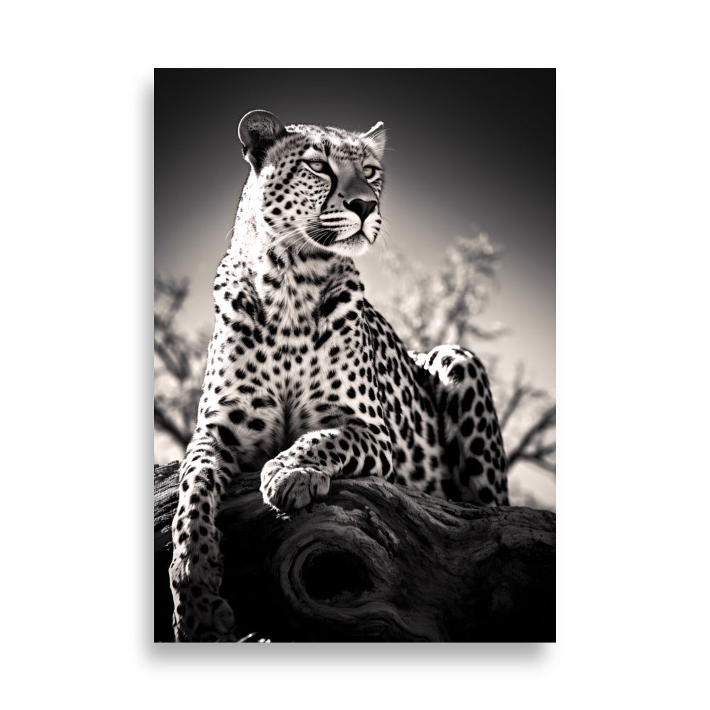 Leopard No1 - AFFICHES & MOI