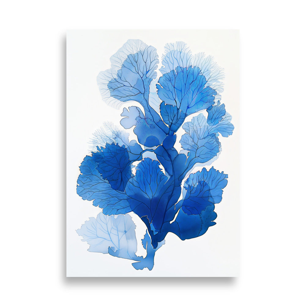 Blue Coral No2 - AFFICHES & MOI