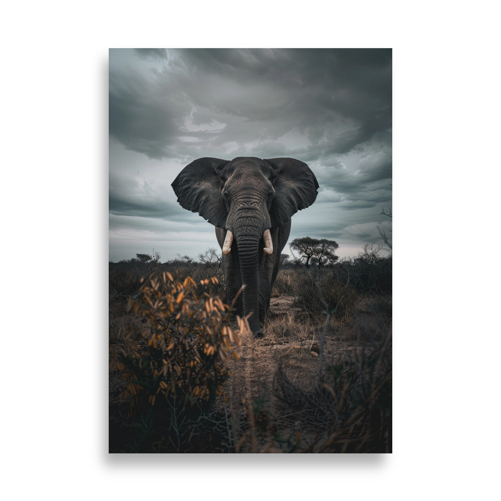 Guardian of Savannah - AFFICHES & MOI