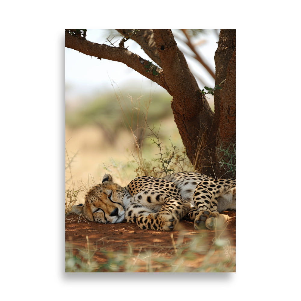 Sleeping Guepard - AFFICHES & MOI