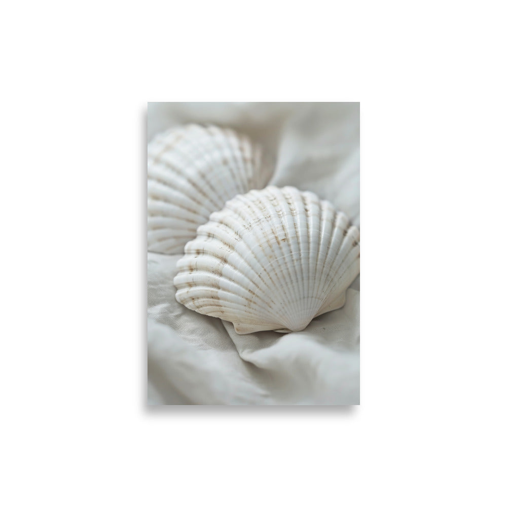 Shells - AFFICHES & MOI 