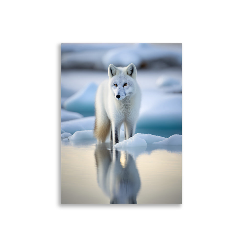 White Fox - AFFICHES & MOI 