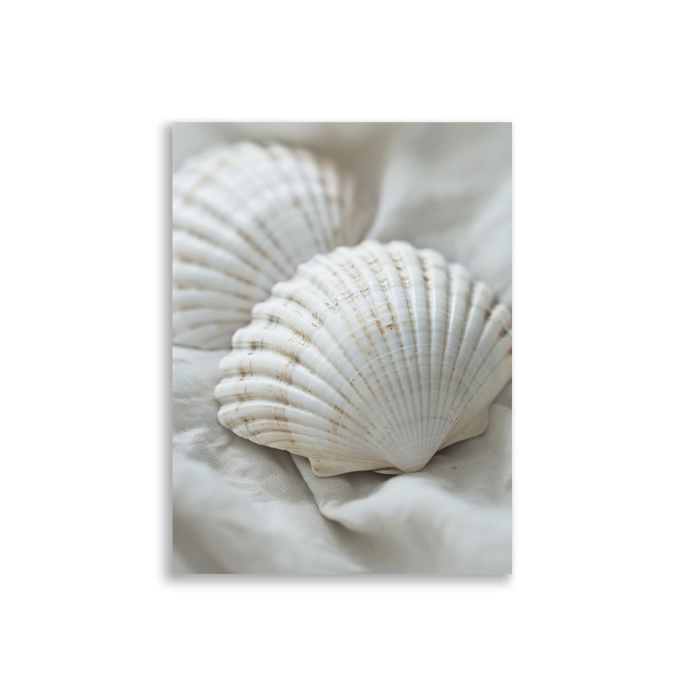 Shells - AFFICHES & MOI 