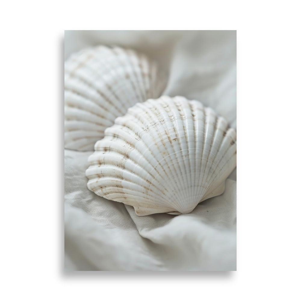 Shells - AFFICHES & MOI 