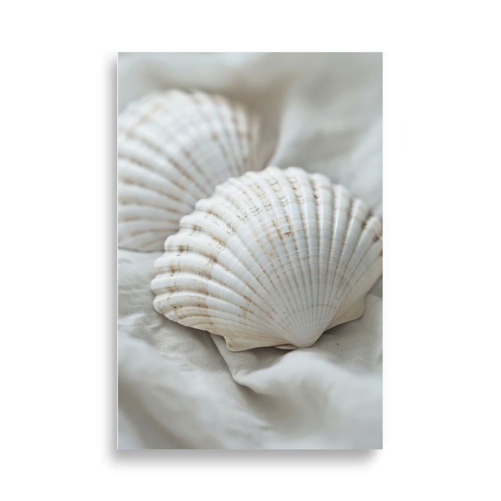 Shells - AFFICHES & MOI 